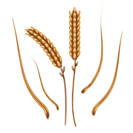 Illustration of golden wheat, stems and dry leaves. For textiles, fabrics, banners, wrapping paper and other designs.の写真素材