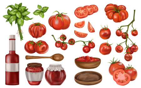 A set of red tomatoes. On a twig, slices, pairs, single. Dishes for storing and consuming tomato paste, herbs for vegetables. Applicable for packaging design, postcards, prints, textilesの写真素材