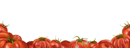 Frame of red ripe tomatoes of different varieties. Digital illustration on a white background. For packaging design, postcards, prints, textiles.の写真素材