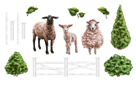 A set of agricultural sheep among the paddocks and bushes. For postcards, packaging design, textiles, booklets.の写真素材