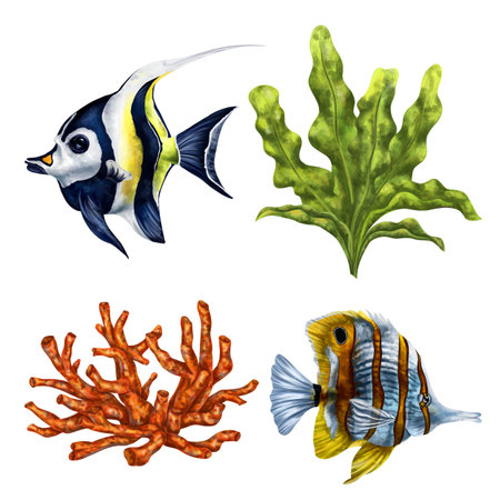 A set of tropical fish and seaweed. Exotic underwater world, digital illustration. For design, packaging, printing, posters, textiles, souvenirs.の写真素材