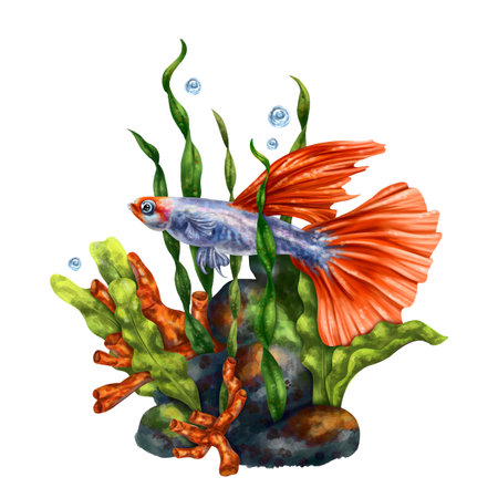 A bright composition with an underwater world. Red coral, seaweed, tropical Guppy fish Digital illustration on white background. For printing, stickers, posters, postcards, prints.の写真素材