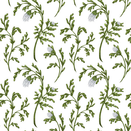 Seamless pattern with wildflowers and white buds. Floral background for textiles, fabrics, banners, wrapping paper and other designs. Digital illustration on a white background.の写真素材