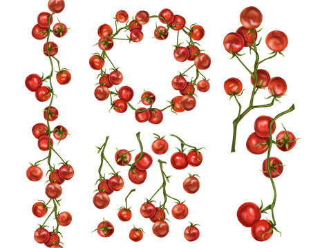 A set of compositions from farm cherries on a twig. Round frame, seamless border of tomatoes. Digital illustration on a white background.の写真素材