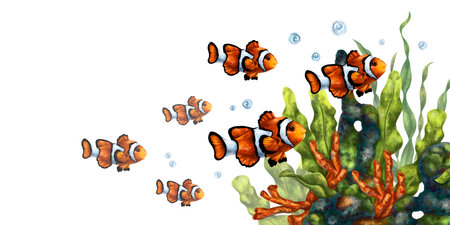 A bright composition with an underwater world. Red coral, seaweed, tropical clown fish. Digital illustration on a white background. For printing, stickers, posters, postcards, prints.の写真素材