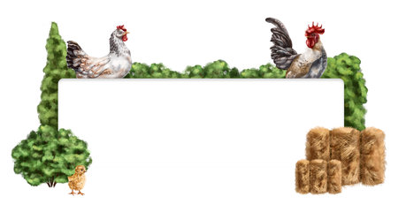 Farm composition frame of chicken, chicken, rooster among haystacks and greenery. For postcards, textiles, booklets, banners, stickers. Digital illustration on a white background.の写真素材