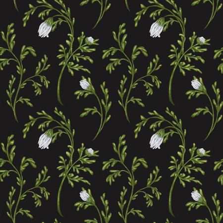 Seamless pattern with wildflowers and white buds. Floral background for textiles, fabrics, banners, wrapping paper and other designs. Digital illustration on a black background.の写真素材