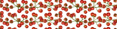 Seamless hand drawn pattern with cherry tomatoes. Vegetable background for textiles, fabrics, banner, wrapping paper, and other designs. Digital illustration on white background.の写真素材