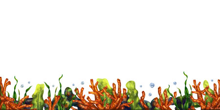 Horizontal marine frame made of tropical fish, corals, algae, stones. Underwater world, digital illustration on a white background. For design, packaging, posters, postcards, textile souvenirs.の写真素材