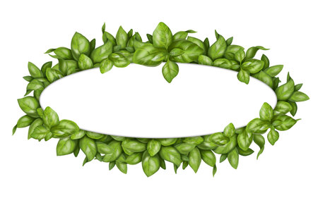 Round frame made of fresh basil bunches. Herbs, spices, ingredients. Digital illustration on a white background. For packaging design, postcards, prints, textiles, jewelry.の写真素材