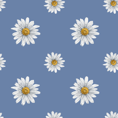 Seamless hand drawn pattern with white chamomiles. Flower background for textiles, fabrics, banner, wrapping paper and other designs. Digital illustration on blue background.の写真素材