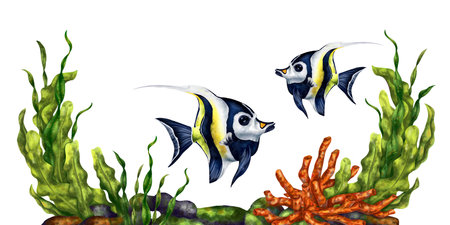 Marine composition with tropical fish is a Moorish idol among the underwater world. Digital isolated illustration on a white background. For posters, prints, postcards, souvenirs, stickers.の写真素材