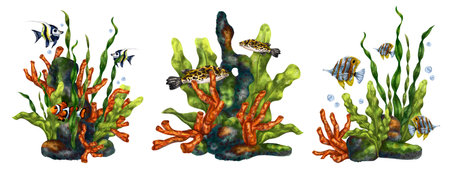 A set of exotic compositions with an underwater world. Digital drawings of red corals, seaweed, tropical fish on a white background. For printing stickers, posters, postcards, prints.の写真素材