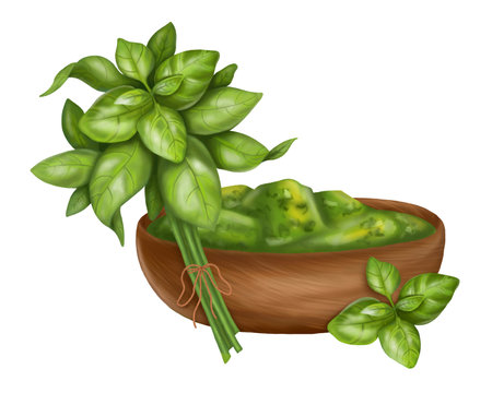 Composition of a fresh bunch of basil and green sauce in a wooden plate. Digital illustration on a white background. For packaging design, postcards, prints, banners, textiles, printing.の写真素材