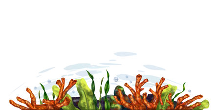 Horizontal marine frame made of tropical fish, corals, algae, stones. Underwater world, digital illustration on a white background. For design, packaging, posters, postcards, textile souvenirs.の写真素材