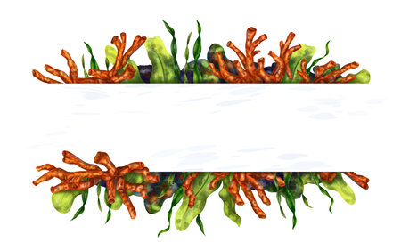 Horizontal marine frame made of tropical fish, corals, algae, stones. Underwater world, digital illustration on a white background. For design, packaging, posters, postcards, textile souvenirs.の写真素材