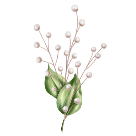 An elegant composition of green leaves and decorative dried flowers in watercolor style. Digital illustration on a white background. For invitations, date saving, gratitude or greeting card.の写真素材