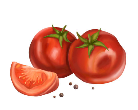 A composition of fresh red tomatoes ripe and black pepper. Digital illustration on a white background. For packaging design, postcards, prints, banners, textiles, printing.の写真素材