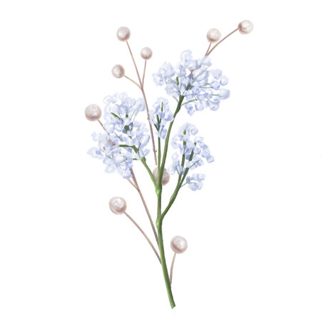 An elegant composition of blue gypsophila and dried decorative flowers in watercolor style. Digital illustration on a white background. For invitations, date saving, gratitude or greeting card.の写真素材