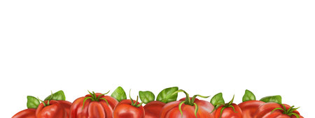 A border of red ripe tomatoes of different varieties with leaf basil. Digital illustration on a white background. For packaging design, postcards, prints, textiles.の写真素材