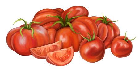 A large composition of red ripe tomatoes of different varieties. Slices, halves, cherry tomatoes. Digital illustration on a white background. For packaging design, postcards, printの写真素材
