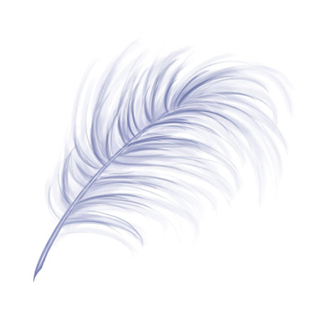 Elegant fluffy bluish feather of a swan, goose. Decorative element for theatrical costumes, carnival outfits, hats, bouquets of flowers and souvenirs. Digital illustration on a white background.の写真素材