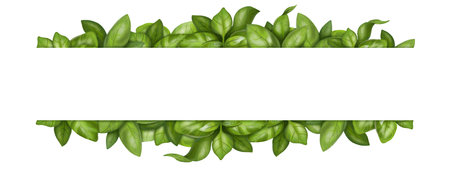 Rectangular frame made of fresh basil bunches. Herbs, spices, ingredients. Digital illustration on a white background. For packaging design, postcards, prints, textiles, jewelry.の写真素材