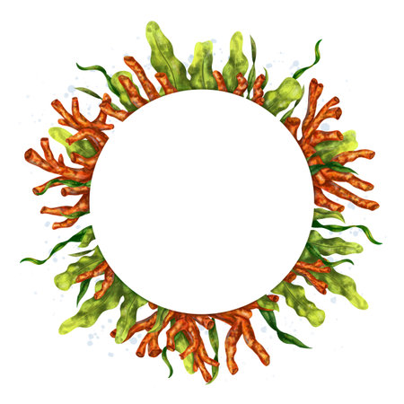Round marine frame made of tropical fish, corals, algae, stones. Underwater world, digital illustration on a white background. For design, packaging, printing, posters, postcards, textile souvenirs.の写真素材