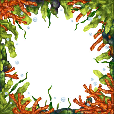 Square marine frame made of tropical fish, corals, algae, stones. Underwater world, digital illustration on a white background. For design, packaging, printing, posters, postcards, textile souvenirs.の写真素材