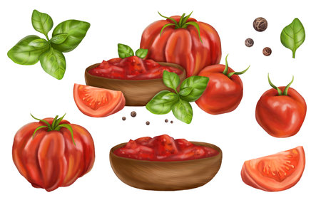 Vegetable set of ripe red tomatoes, basil leaves, pepper, a plate with red sauce. Farmer's harvest from the garden of useful organic plants. Fresh food for healthy diet. Digital isolated illustration.の写真素材