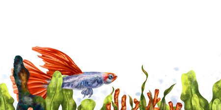A bright composition with underwater life. Red coral, seaweed, orange guppy fish. tropical wild world. Marine frame, boarder. Digital isolated illustration.の写真素材