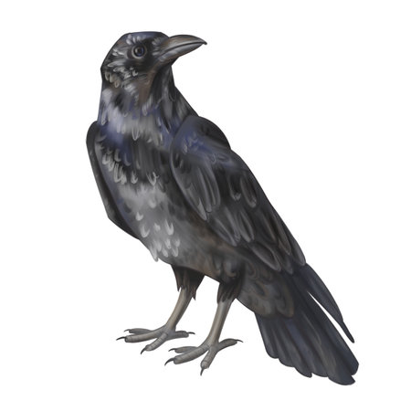 The black raven. A feathered bird, a flying animal. Halloween decoration of the yard and garden....