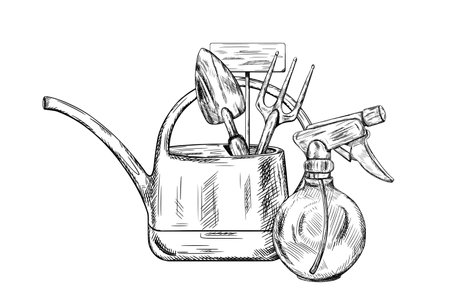 Vector illustration of working tools, watering can, rake, shovel, spray. Tools for landscaping garden and house territory. Growing plants and flowers. Isolated illustration in black ink graphically.のイラスト素材