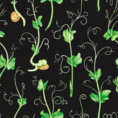 Seamless pattern with steam of micro-green peas. Young seed seedlings, farming vegetable, horticulture and cultivation. Legumes for gardening, ingredients for cooking. Digital isolated illustration.の写真素材