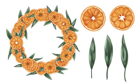 Christmas set to create organic seasonal winter decor, orange and leaves. Sustainable Christmas wreath and garland of natural recyclable material. Minimalistic hollydays design. Isolated illustration.の写真素材