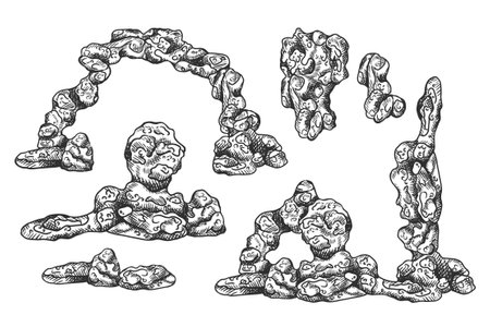 A large underwater rock mountain with seaweed and coral reef. Tropical underwater element of the natural world, compositions, prints. Hand drawn textured sketch in black and white on isolated background.のイラスト素材