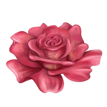 Vintage burgundy rosebud. Romantic flowering rose plant in Gothic style. Retro botanical decor. Handmade isolated illustration on a white background. For design and decorating.の写真素材