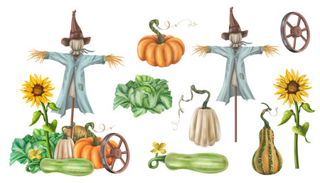 Autumn garden composition with a scarecrow and a harvest of seasonal vegetables. Pumpkins, zucchini, sunflowers, cabbage. Halloween and fall decor for posters and postcards. Isolated illustration.の写真素材