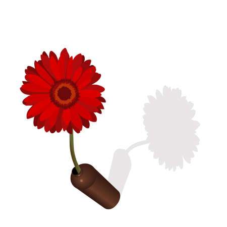 Red daisy flower in vase and its shadeのイラスト素材