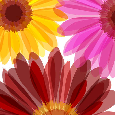 Bright daisy flower macro backgroundのイラスト素材
