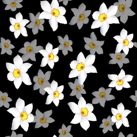 White narcissuses on black background (seamless)のイラスト素材
