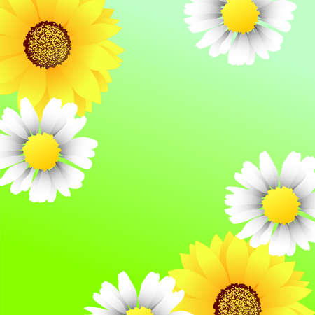Bright green background wirh sunflowers and camomilesのイラスト素材