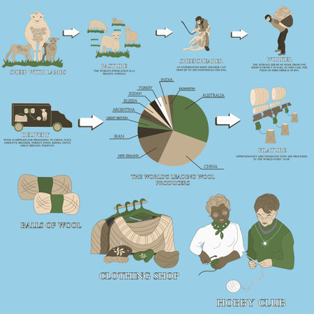 Stages of wool production. Sheep shearing, wool delivery, filature, yarn dressing, sale, knitting.のイラスト素材