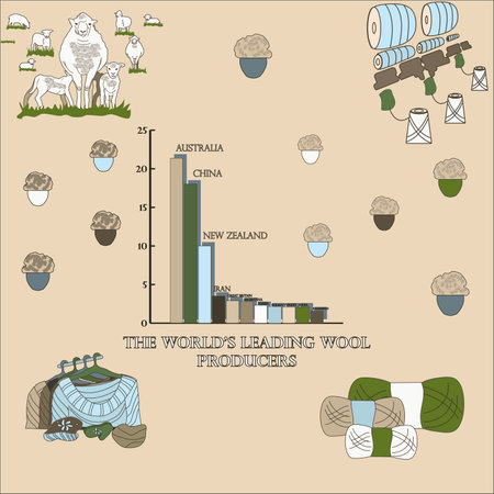 Stages of wool production. Sheep shearing, wool delivery, filature, yarn dressing, sale, knitting. Chart on a beige background.のイラスト素材