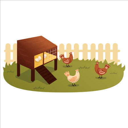 Vector illustration of a home chicken coop in the backyardのイラスト素材