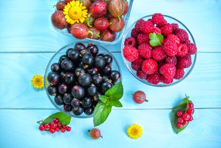 Ripe juicy berries in glass bowls on painted blue wooden background, black and red currant,...