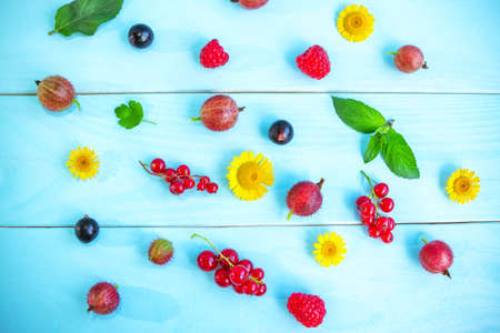 Ripe summer berries and flowers, black and red currant, gooseberry, raspberry,  green peppermint leaves and yellow chamomiles on painted blue wooden backgroundの写真素材