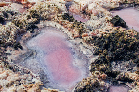 closeup salt, brine and mud of pink salty Sivash Lake near Azov Sea, colored by microalgae Dunaliella salina, famous for its antioxidant properties and enriching water of the lake by beta-carotene, used in medicine - dermatology, rheumatism, arthritis curの写真素材