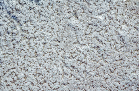 Raw salt crystals on a coast of lake. Natural salt texture.の写真素材