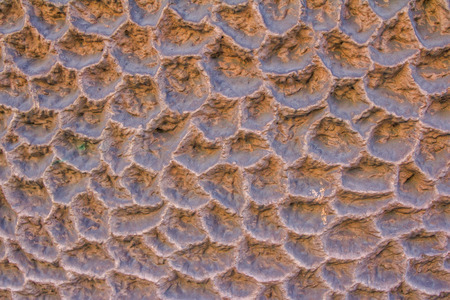 Dimpled wall decoration surface, abstract background
